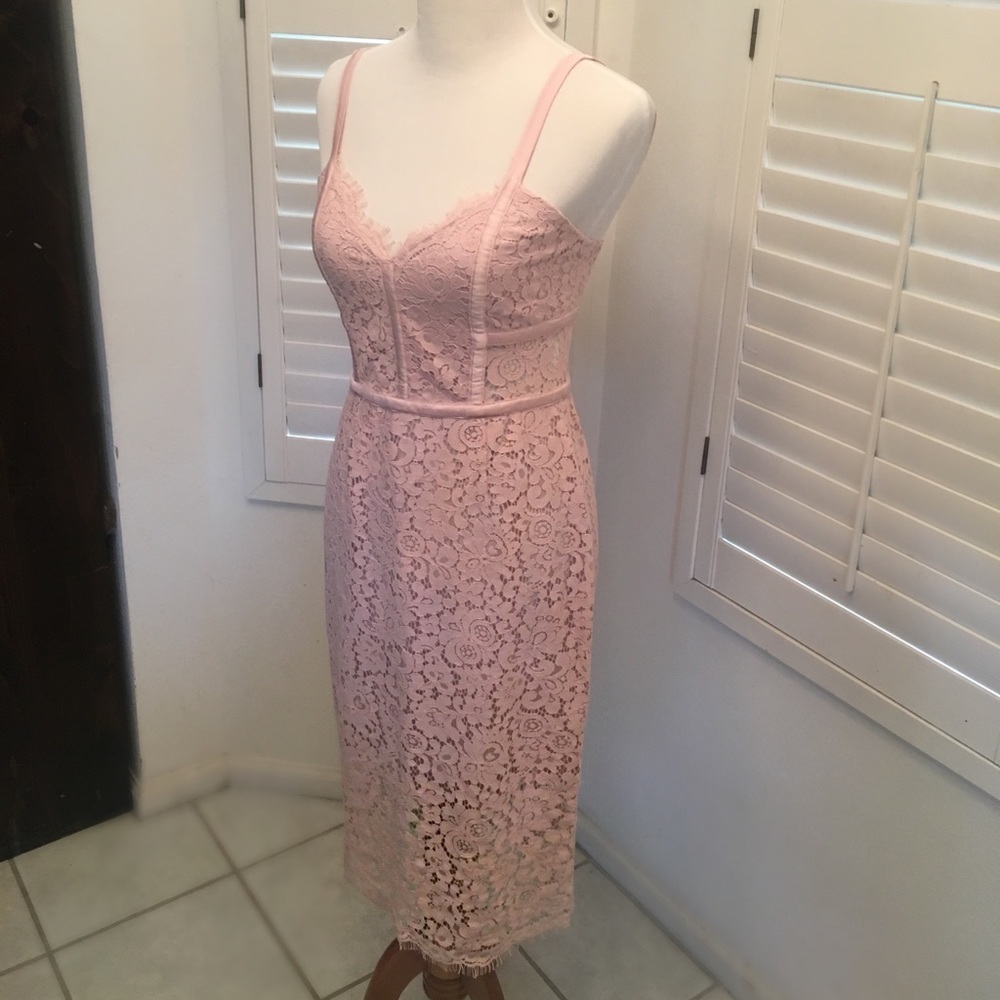 Express piped lace sheath dress